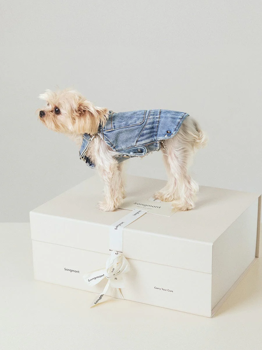 Small Luna & Pet Leash Box - Image 2